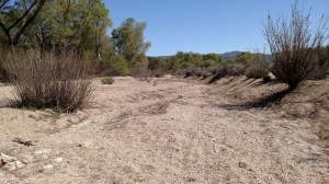 IMG_20150419_101254650