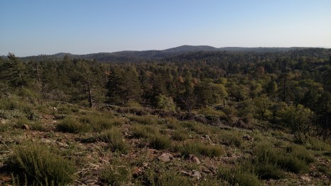 IMG_20150420_174814332