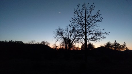 IMG_20150420_194652940