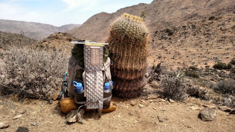 IMG_20150422_124404234