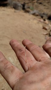 IMG_20150422_125944669