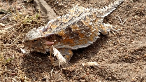 IMG_20150422_163039432