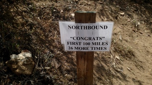 IMG_20150423_120424278