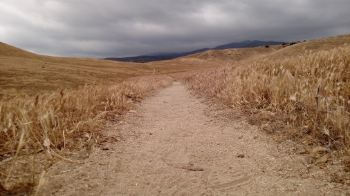 IMG_20150423_153129749