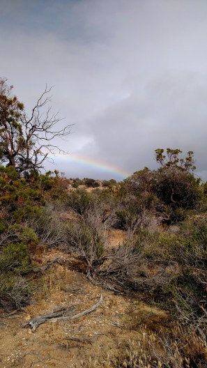 IMG_20150425_163821537