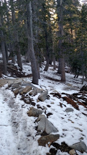 IMG_20150427_175407066