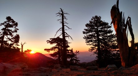 IMG_20150428_060239061_HDR