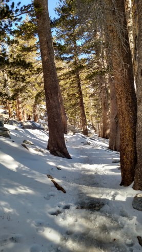 IMG_20150428_081407165_HDR