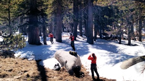 IMG_20150428_110451657