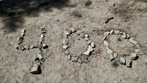 11263140_10152912233754220_311357573949962087_n