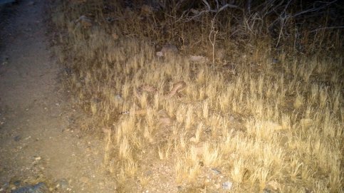 IMG_20150430_194753369