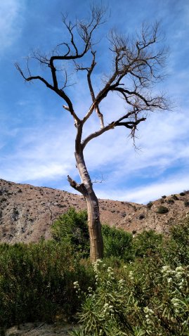 IMG_20150501_145245866