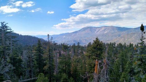 IMG_20150502_144907850_HDR