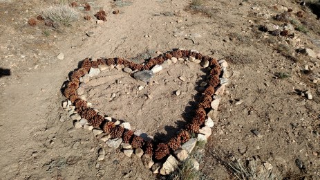 IMG_20150502_165742027