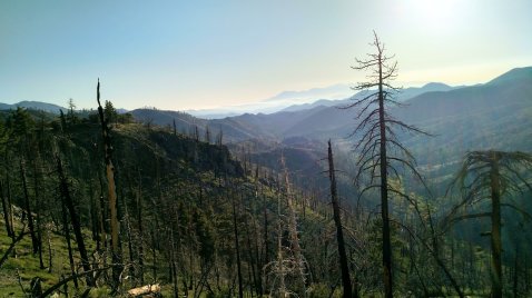 IMG_20150504_182824571_HDR