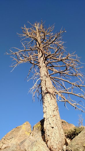 IMG_20150504_182834794