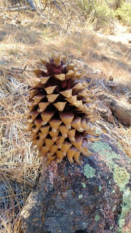 IMG_20150505_125222661