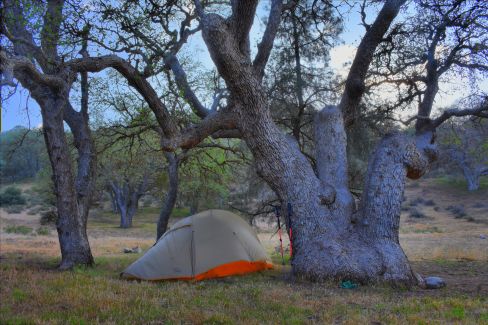 DSC_0693_2_4_Localtone