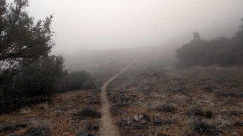 IMG_20150523_075103417