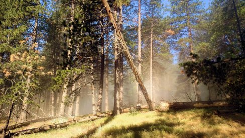 IMG_20150524_080231061