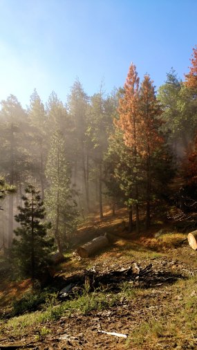 IMG_20150524_080236992