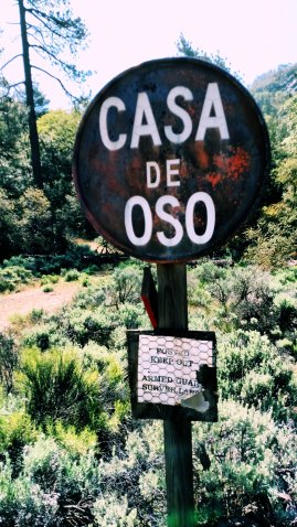 IMG_20150524_101436583