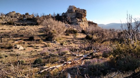 IMG_20150524_184805759