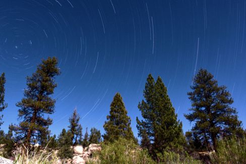 Startrails