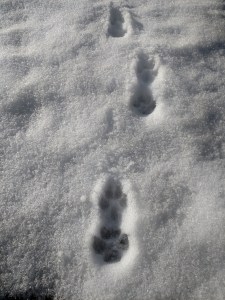 IMG_20150604_185516607