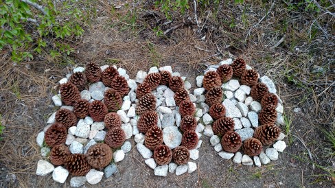 IMG_20150606_125650478