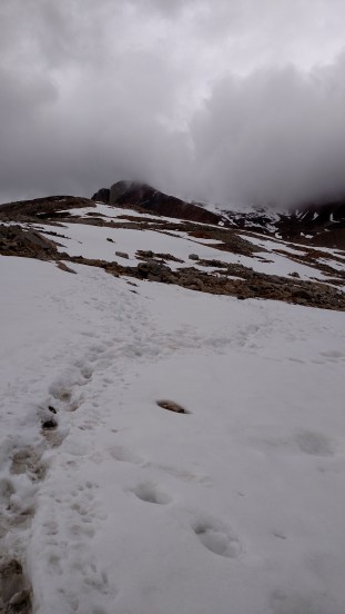 IMG_20150606_171910315