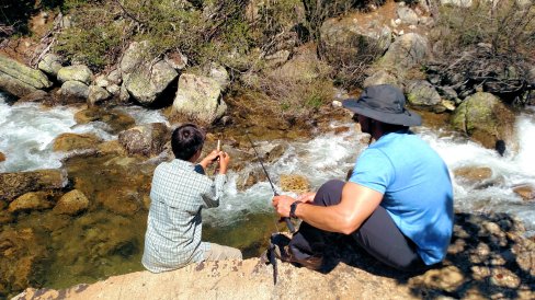 IMG_20150613_114440718