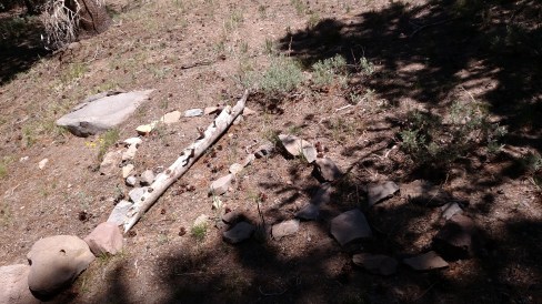 IMG_20150614_113516778