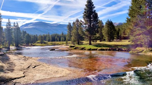 IMG_20150617_083255752_HDR