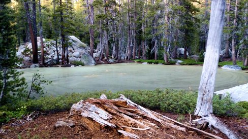 IMG_20150619_200010231